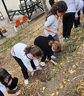 KÖKLERDEN GELECEĞE NEFES ETKİNLİKLERİNDE TEMİN EDİLEN FİDANLARIMIZI DİKTİK
