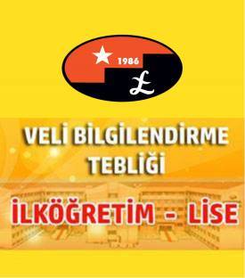 Evrensel kolej
